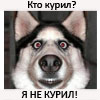 Аватар пользователя