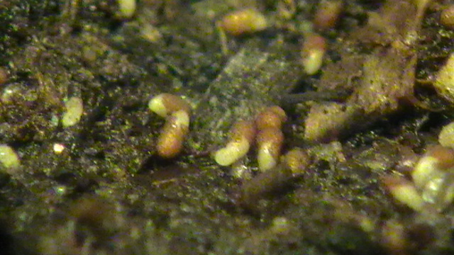 S1800001.JPG