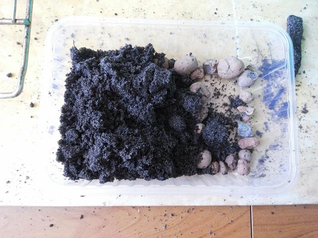 20180328_084638.jpg