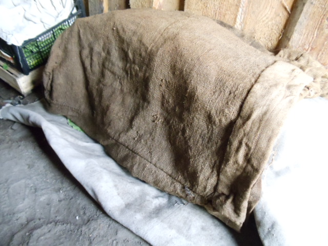 DSC01176.JPG
