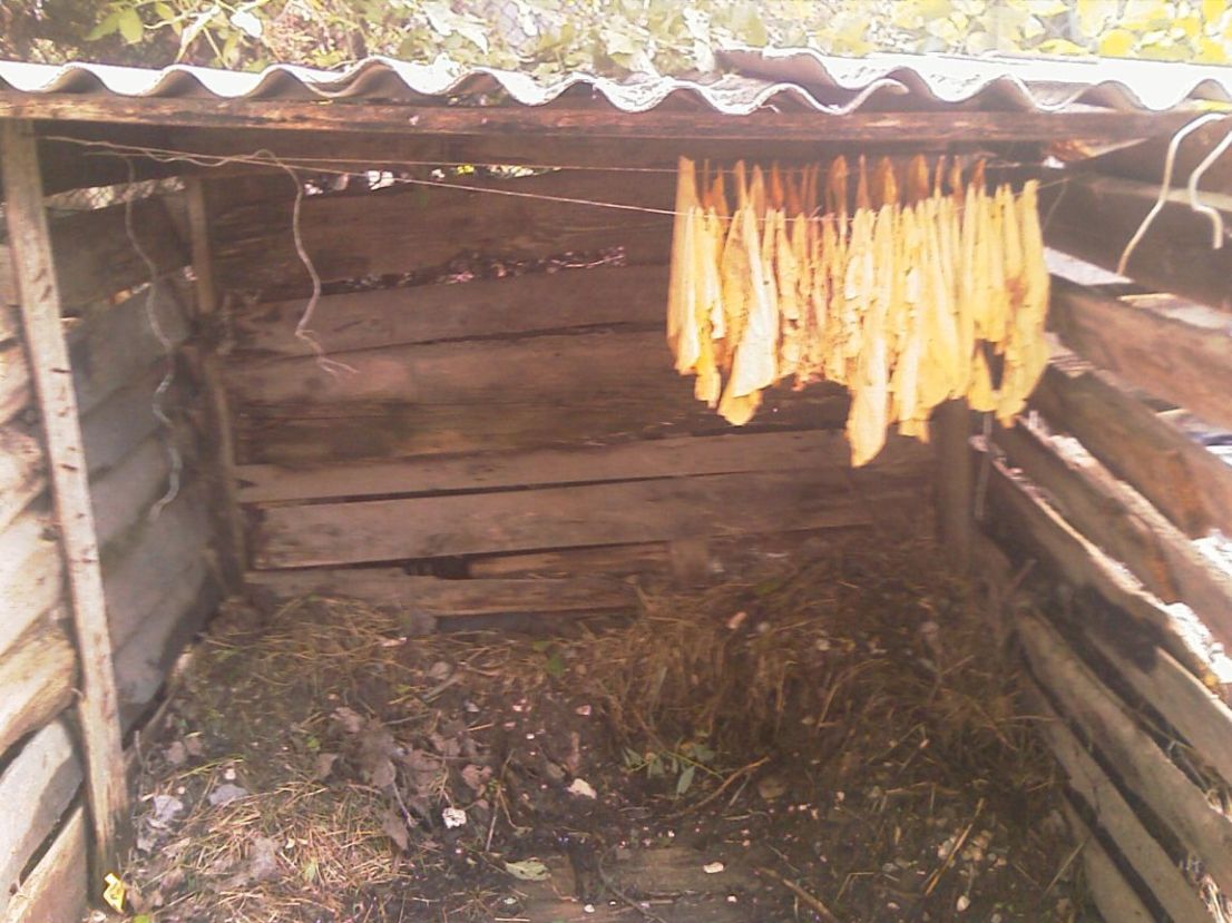 Навес для сушки.jpg